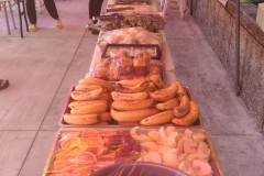 上人涅槃華嚴法會 (16)