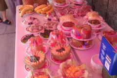 上人涅槃華嚴法會 (17)