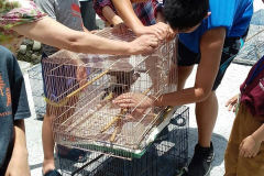 2018青少年佛學營_181025_0254