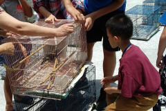 2018青少年佛學營_181025_0255