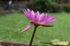 2018青少年佛學營_181025_0319