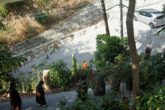 SONY DSC